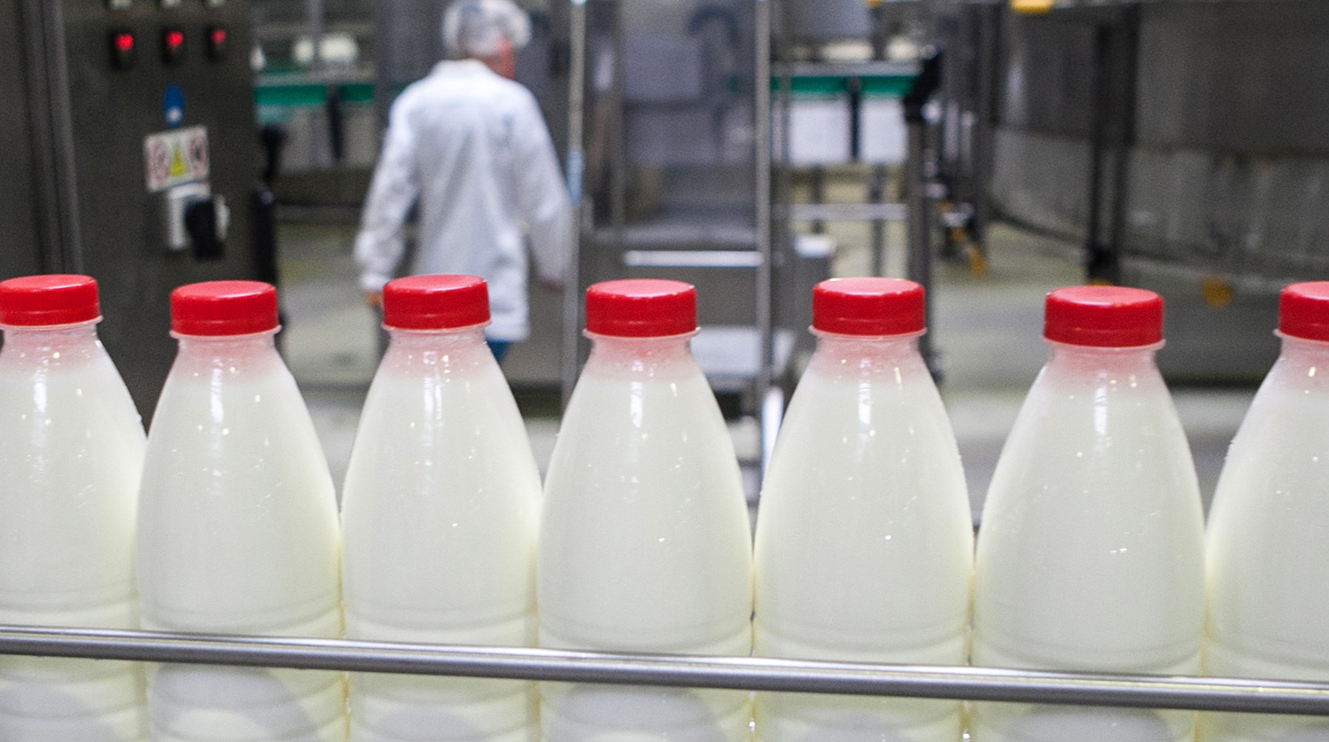 Второй этап маркировки молока в Удмуртии проходит без сложностей