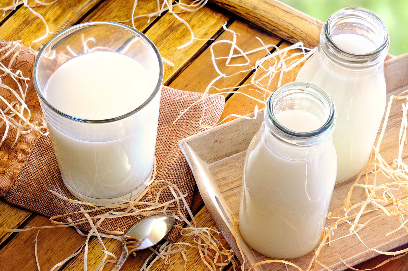 Правила реализации молочной продукции могут измениться 1 сентября
